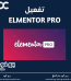 Elementor Pro
